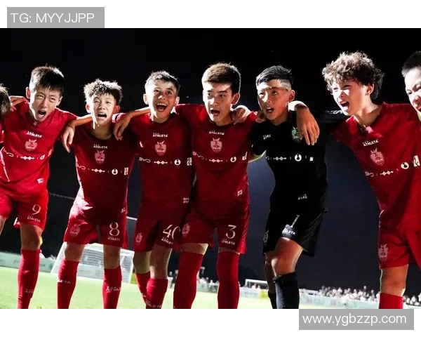 足球明星对中国足球的看法与期待分析及未来发展建议