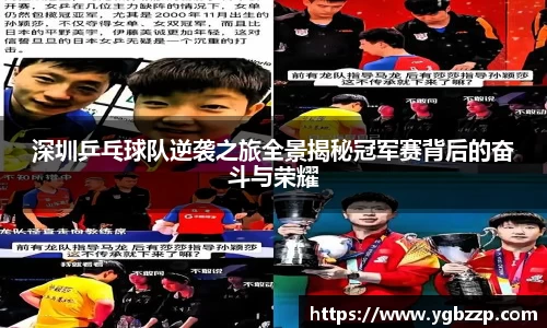 深圳乒乓球队逆袭之旅全景揭秘冠军赛背后的奋斗与荣耀