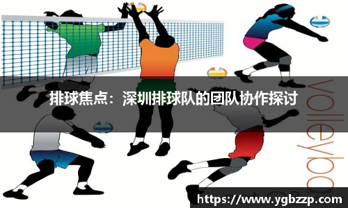 排球焦点：深圳排球队的团队协作探讨
